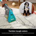 Shark CarpetXpert HairPro | Upright Carpet, Area Rug & Upholstery Cleaner | StainStriker Handheld Tough Stain Remover & Onboard Self Clean | Pet Hair Pickup & Odor Removal | 5 Tools | Navy | EX304