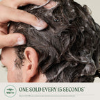 Tea Tree Special Shampoo, Deep Cleans, Refreshes Scalp, For All Hair Types, Especially Oily Hair, 10.14 fl. oz.