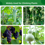 65"×50" Cucumber Trellis for Raised Bed,Tall Metal Arch Garden Trellis for Climbing Plants Outdoor,Vegetables,Plant Support Peas,Fruit,Flower,Grape,Tomato, Bean