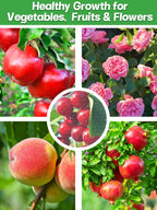 6pcs 4ft x 5ft Insect Bird Netting for Garden - Ultra-Fine Blueberry Bush Netting Cover with Drawstring for Garden Protection Flower Tomato, Plant Protectors from Animals