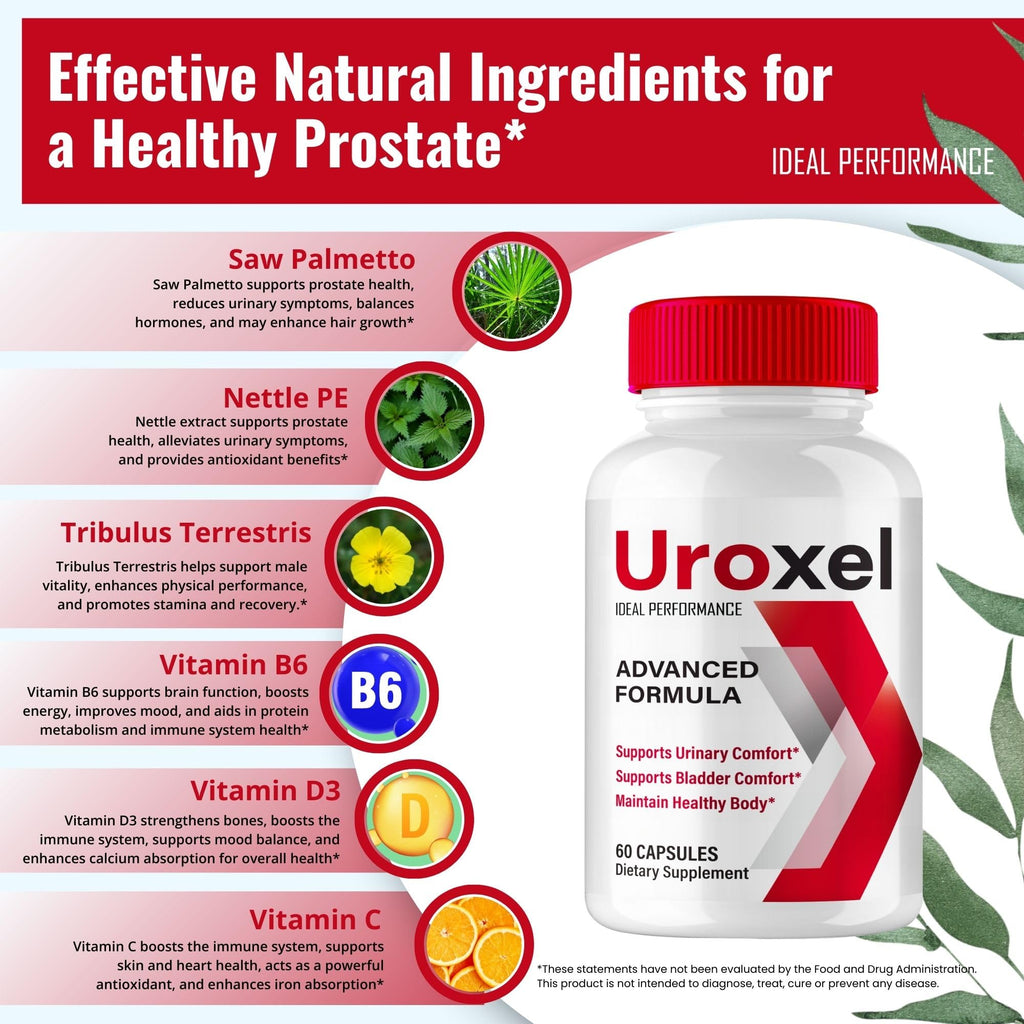 Uroxel Capsules, Advanced Uroxel Prostate Health Supplements - Bladder Comfort & Daily Urinary Support -Maximum Strength for Daily Wellness & Comfort, All Natural Support Uroxel Reviews (2 Pack)