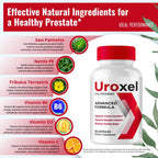Uroxel Capsules, Advanced Uroxel Prostate Health Supplements - Bladder Comfort & Daily Urinary Support -Maximum Strength for Daily Wellness & Comfort, All Natural Support Uroxel Reviews (2 Pack)