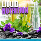 Omnitrition Bundle of 2 Products - the "AM and PM Bundle" Includes Omni IV Liquid Vitamin with Glucosamine and OmniTrim Nite Lite