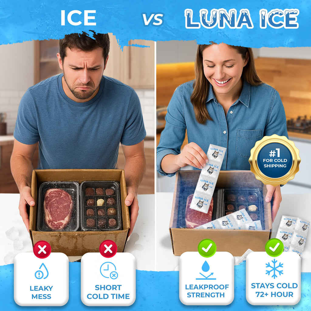 Dry Ice Packs for Shipping Cubes - Long Lasting ice Packs - 24+ Hour Freeze Power - BPA Free - 1200 Pack Bulk 75 lb – Hielo Seco - Reusable Gel Bricks for Food