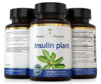 Insulin Plant Costus Igneus Extract Capsules 10:1 (120 Capsules)
