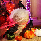 ATDAWN 6 Pack Halloween Black Feathered Crows, Realistic Halloween Birds Decoration for Spooky Décor