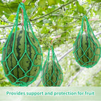 10 Pcs Melon Hammocks Cradles with D Hanging Hooks, for Trellis Heavy Duty Watermelon Nets,Or Growing Cantaloupe, Pumpkin,Honeydew in Vertical Garden (Green)
