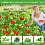 WLLEYAY Large U-Shape Cucumber Trellis for Raised Bed,49.2x49.2x23.6in