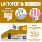 bioQuad Lactoferrin Gold 1.8 - for Immune Support, Digestive Health, and Iron Absorption - Lactose-Free, Gluten-Free, Non-GMO (60 Count)