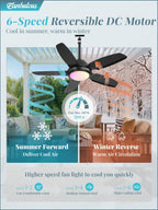 Fanbulous 42 Inch RGB Waterproof Outdoor Ceiling Fan with Lights,APP & Remote Control,IP65 Hanging Gazebo Fan with 3CCT 6-Speed DC Motor,Black Wet Rated Plug in with Cord for Patios Porch Pergola