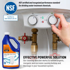 Chromex Tankless Water Heater Flush Kit with Certified Liquid Descaling Solution and Right Angle Inlet Hoses & 1/6HP Extra Strength Pump