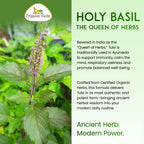 Organic Veda Holy Basil Capsules - Triple Complex Tulsi Leaf Supplement with Black Pepper Extract - Support Respiratory & Immune Health, Promotes Healthy Stress Response & Mood - 60 Vegan Capsules
