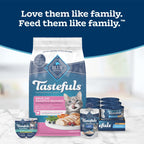 Blue Buffalo Tastefuls Chicken Adult Sensitive Stomach Dry Cat Food, 7 lb