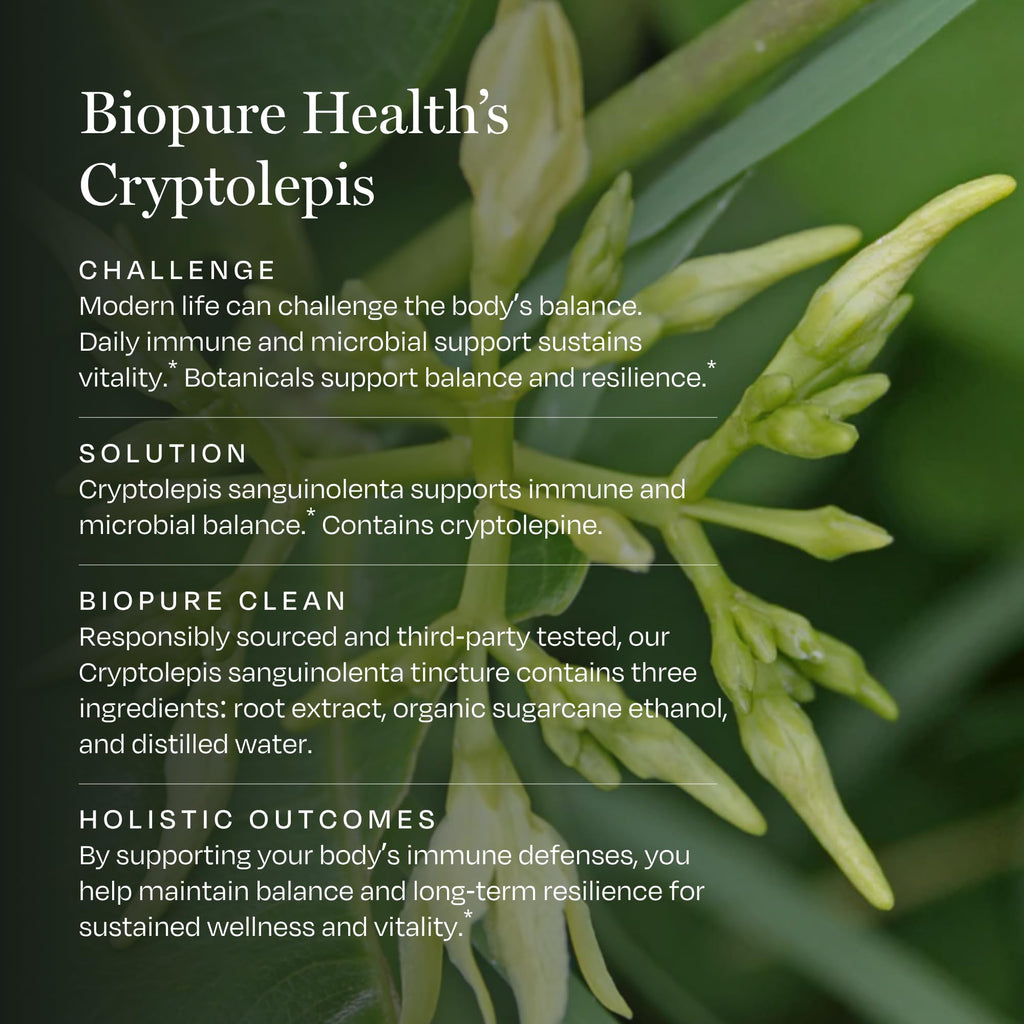 BioPure Cryptolepis Herbal Tincture | Potent Botanical Extract of Cryptolepis Sanguinolenta for Immune Support and Microbiome Balance - 4 fl oz