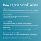 Natura Health Products Digest Mend Supplement - Encourages Healthy gastric microboime* - Featuring Deglycyrrhizinated Licorice (DGL), Aloe Vera, Marshmallow, Mastic Gum, & Chamomile (180 Capsules)