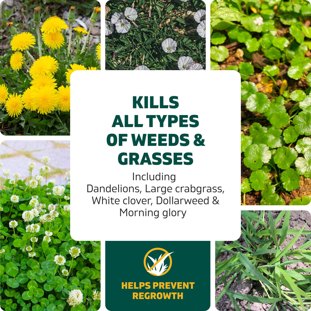 Spruce Weed & Grass Killer₃ Kit, Power Wand, 2 AA Batteries Included, 64 Oz