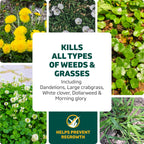 Spruce Weed & Grass Killer₃ Kit, Power Wand, 2 AA Batteries Included, 64 Oz