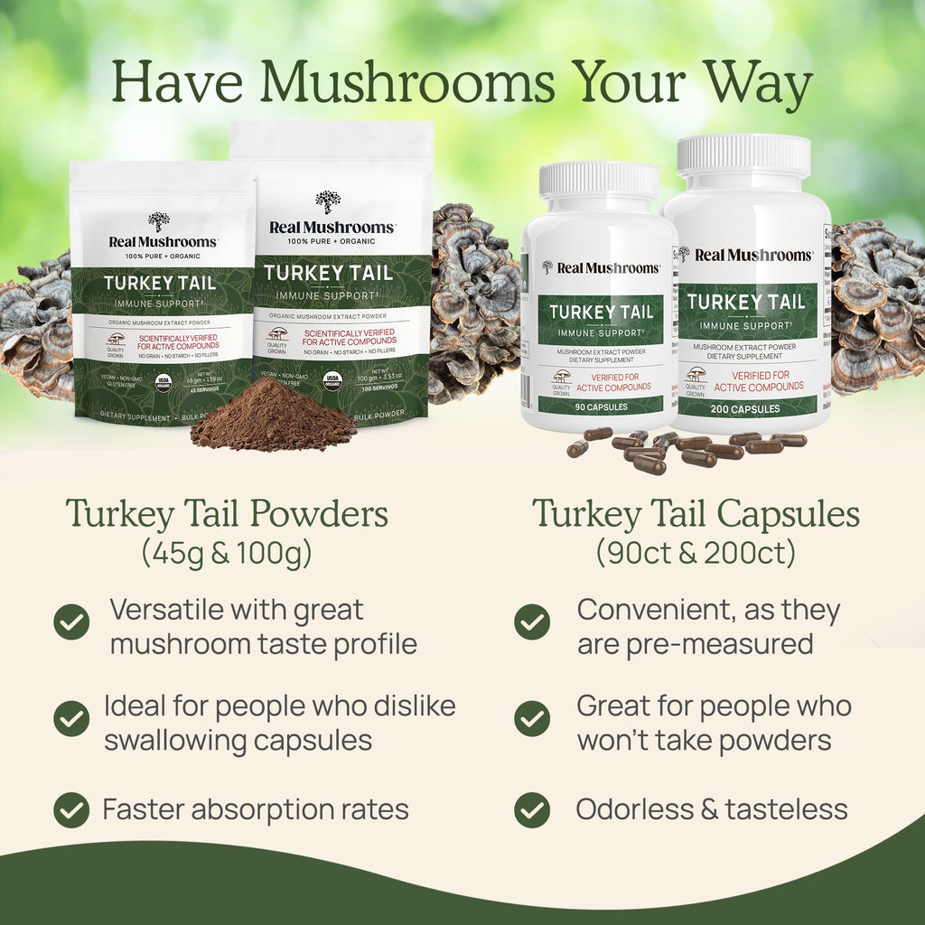 Real Mushrooms Turkey Tail Capsules – Organic Mushroom Extract for Wellness & Daily Rhythm – Vegan, Non-GMO, No Fillers Turkey Tail Extract – 90 Count Mushroom Supplement