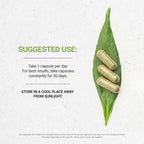 Secrets of the Tribe Lemongrass 120 Capsules, 400 mg, Lemongrass (Cymbopogon Citratus) Dried Stalk (120 Capsules)