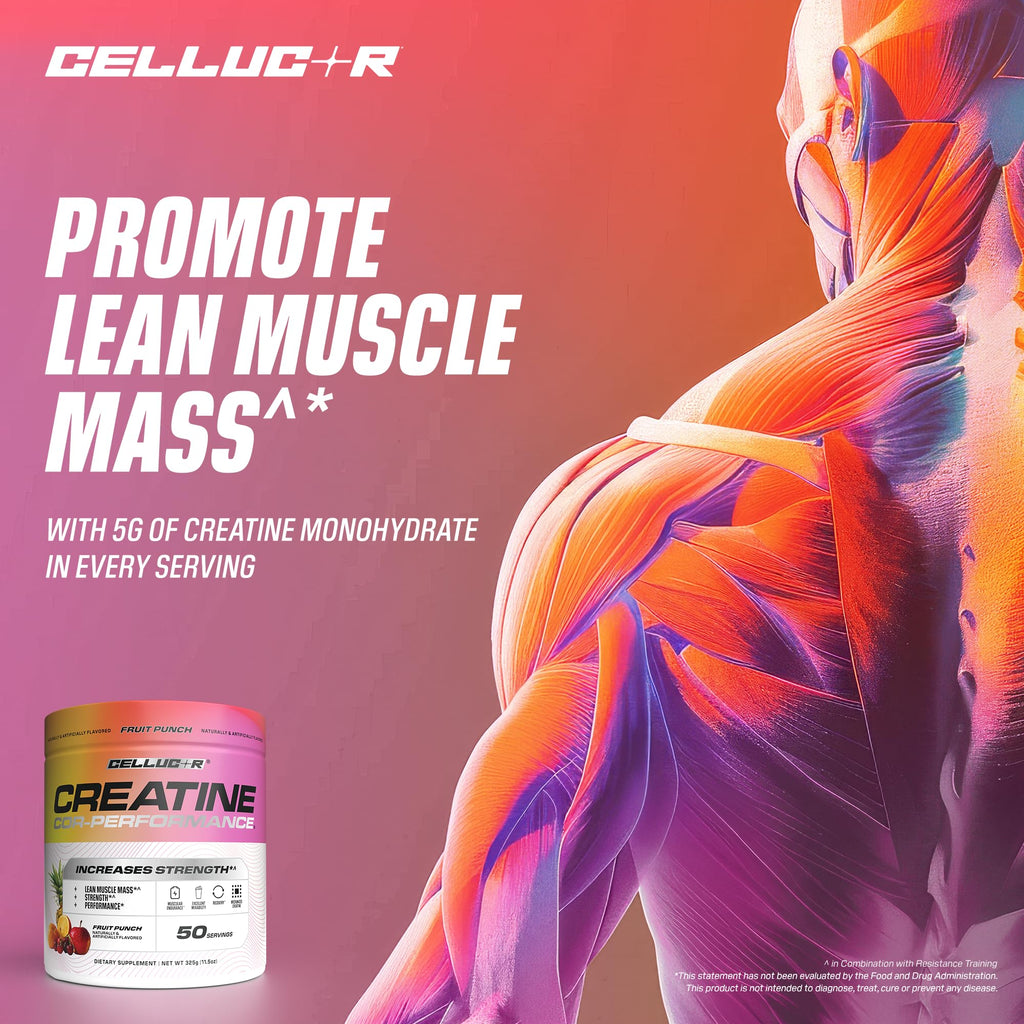 Cellucor Creatine Powder, Fruit Punch Flavor - Increases Strength, Lean Muscle Mass & Endurance, Micronized Creatine for Fast Absorption, 5g Creatine per Serving, 50 Servings