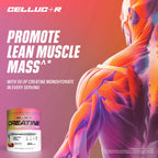 Cellucor Creatine Powder, Fruit Punch Flavor - Increases Strength, Lean Muscle Mass & Endurance, Micronized Creatine for Fast Absorption, 5g Creatine per Serving, 50 Servings