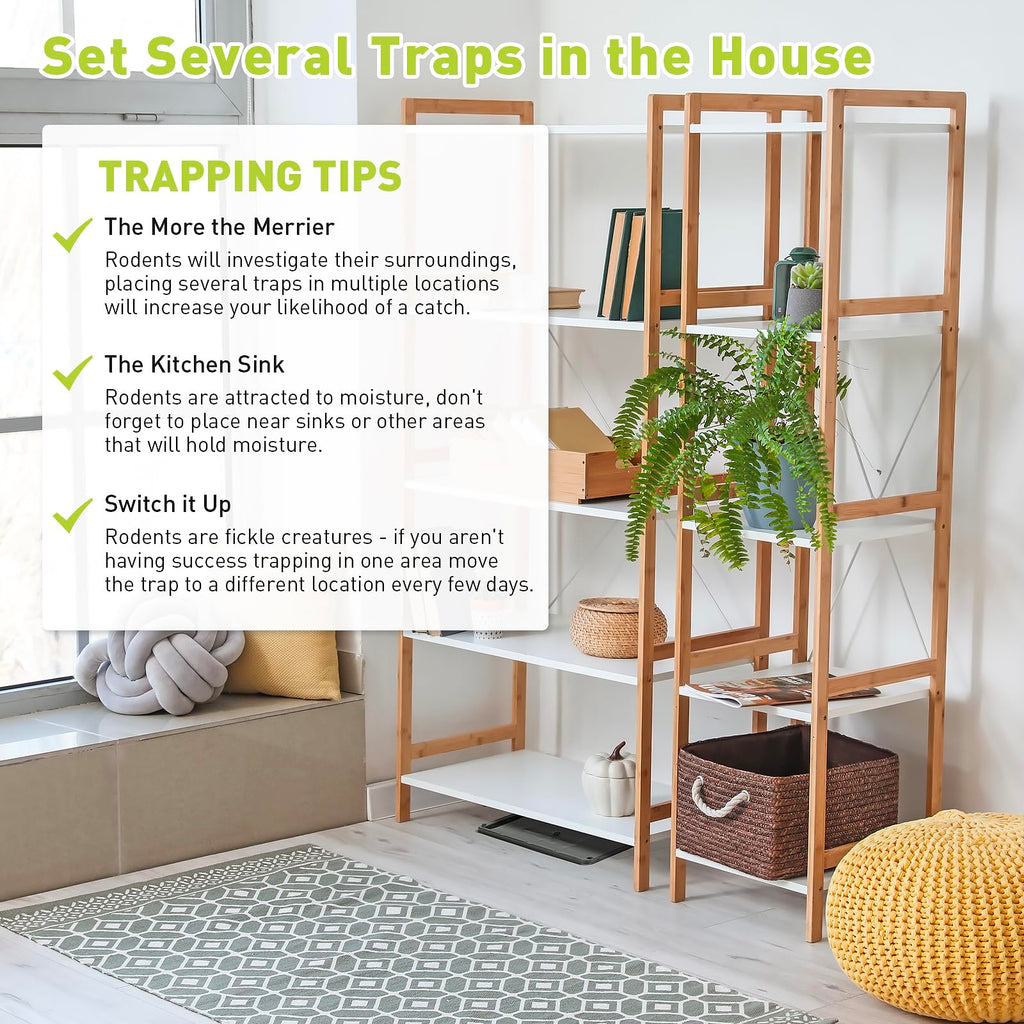 Pelrayt Glue Mouse Traps Indoor for Home, Rat Trap-12 Pack, Large Heavy Duty Glue Traps for Safe Home Pest Control. Pre-Scented, Non-Toxic Sticky Boards for Mice, Rats & More. Easy To Use