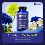 Stacked Science Tributyrin 250mg Supplement | Postbiotic Gut & Digestive Support | Short-Chain Fatty Acid Formula | Single Ingredient | 90 Capsules | Adult Daily Supplement