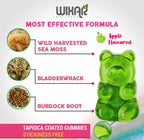 WIXAR NATURALS Sea Moss Gummies - Natural Irish Sea Moss and Bladderwrack with Burdock Gummy - 60 Gummies - Vegan - Healthy Immune, Gut & Overall Wellness Support - Herbal Alkaline Supplements
