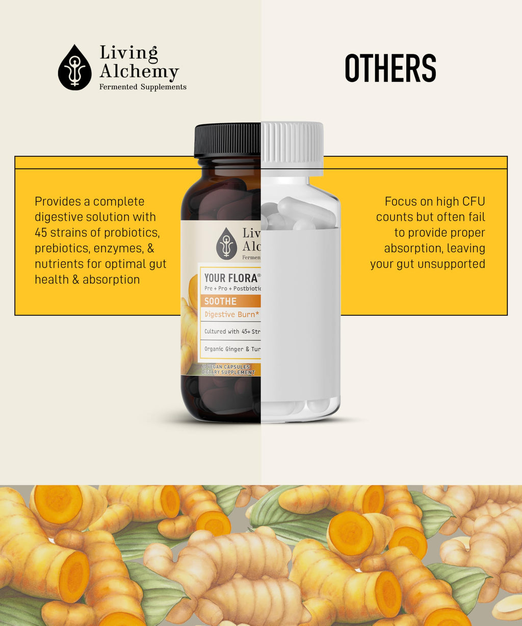 Your Flora Probiotic Soothe – Non-GMO Probiotics with Fermented Soybean, Ginger, & Turmeric for Gut Balance, Digestion, & Support – Prebiotics, Postbiotics, Digestive Enzymes – Living Alchemy, 60 Pcs
