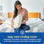 SEALY Dreamlife Standard Size Contour Memory Foam Pillow with Surface Guard Technology, Removable Machine-Washable Cover, 1 Year Limited Warranty