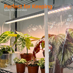 Bstrip 6-Tier Indoor Greenhouse with Grow Light, 29.5x13.8x71in