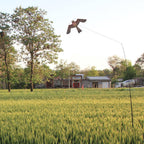 flyonte Bird Scare Flying Kite with 4m Pole Has The Effect of Scaring Birds