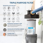 Fortitude V2 Series Sediment/Carbon/Zinc Bacteria Inhibiting Triple Purpose Replacement Filter - Standard (Sediment/Carbon/Zinc, Standard)