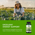 Swanson Rhodiola Rosea Root - Adaptogenic Herb Supplement Promoting Mood Balance & Stress Support - Natural Formula for Energy Support - (100 Capsules, 400mg Each) (2 Pack)