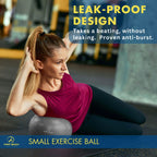 ProBody Pilates Small Exercise Ball - 9 Inch Workout Ball for Stability, Barre, Yoga, Core & Physical Therapy, Home Gym & Office Use (Silver)