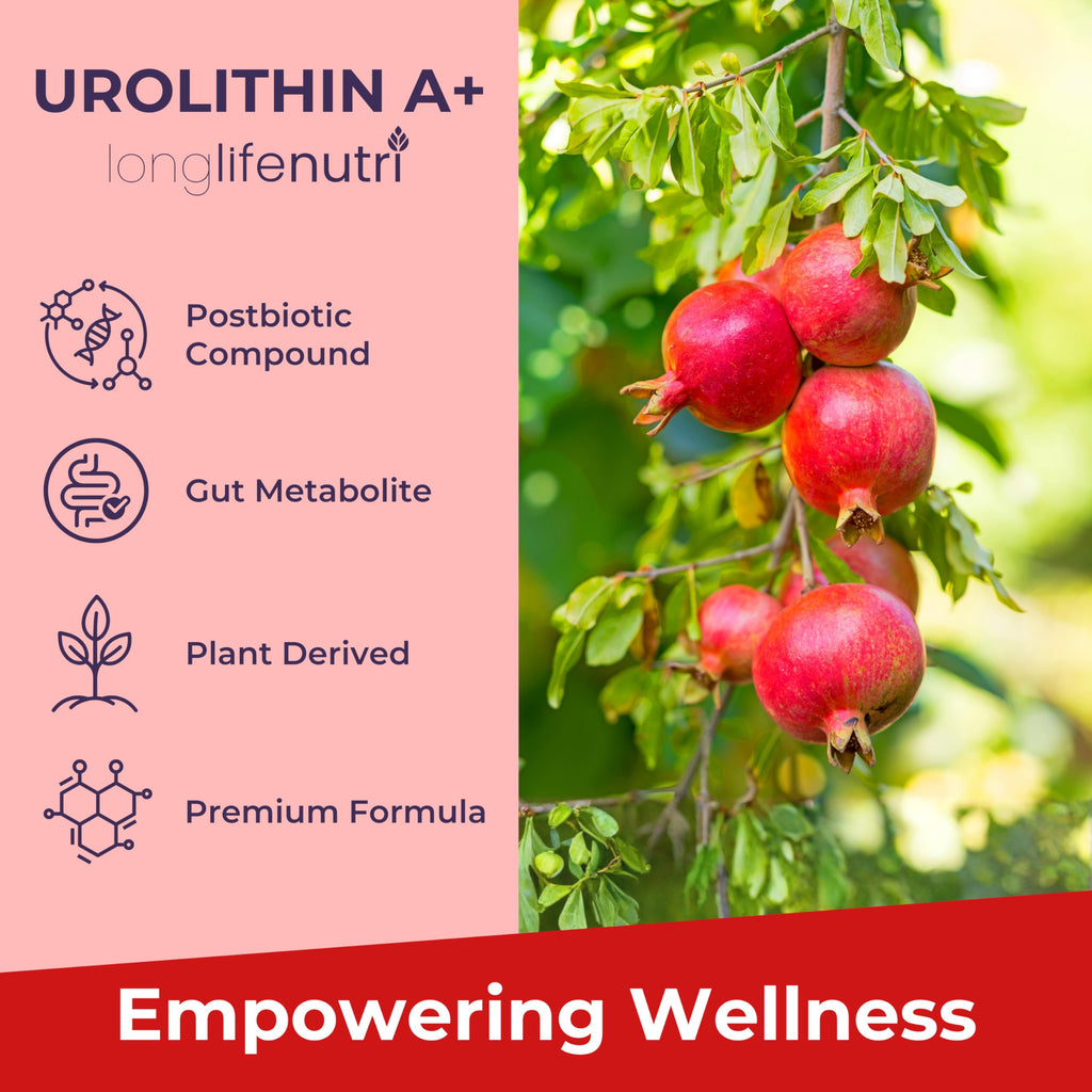 Urolithin A 1200mg - 120 Vegetarian Capsules of Pure Pomegranate-Derived Postbiotic, Third-Party Tested, GMP Certified, No Fillers, Vegan