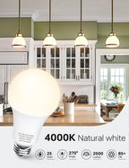 KINDEEP A21 LED Bulbs, 150-200 Watt Equivalent High Watts Bulbs, 23W Super Bright Light Bulbs E26 Base, 2500 Lumens, 4000K Natural White for Your Home Office, Store, Garage, Warehouse, Non-Dim, 6-Pack