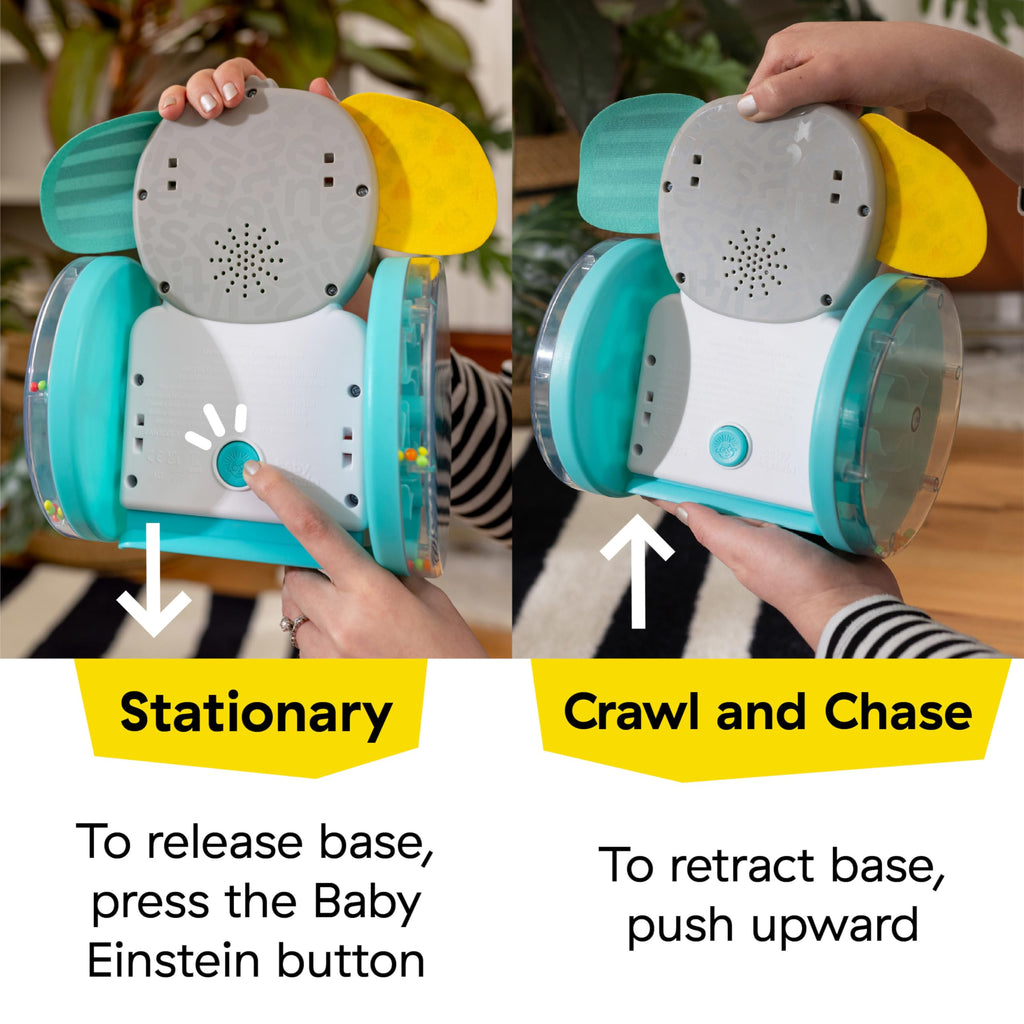 Baby Einstein Chase & Tap Earl Crawling Baby Toy, with Mirror and Music, Ages 6 Months and Up