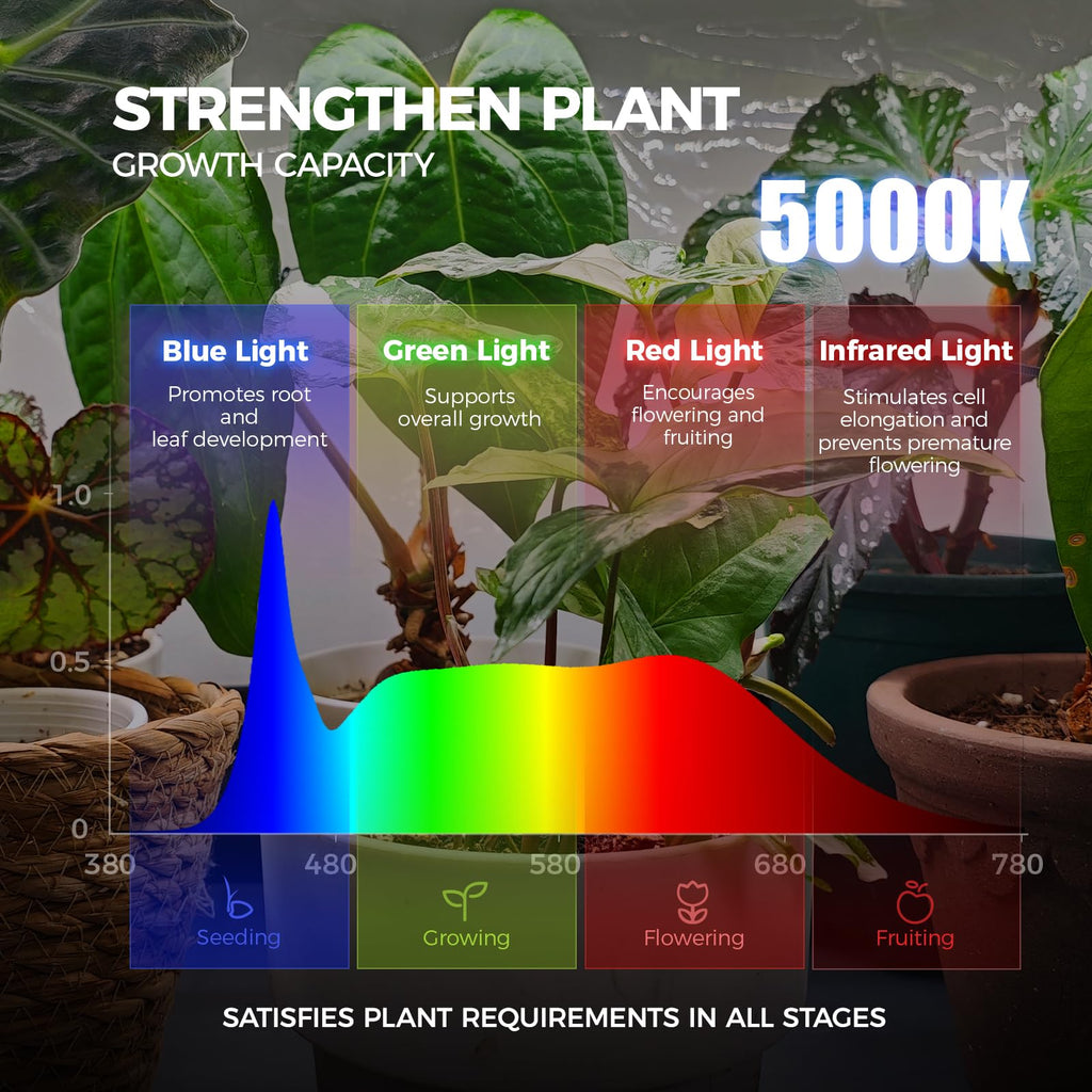 Barrina LP750 Indoor Greenhouse with Grow Light, 5 Tier Stand with Tent