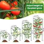 3 Pack Tomato Cage, 14.5" W x 53" H Square Tomato Trellis with 50 Pcs Clips