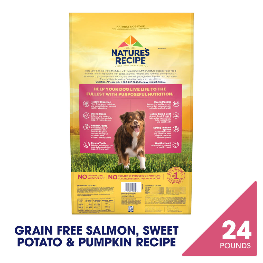 Nature's Recipe Grain Free Salmon Dry Dog Food, 24 lb. Bag