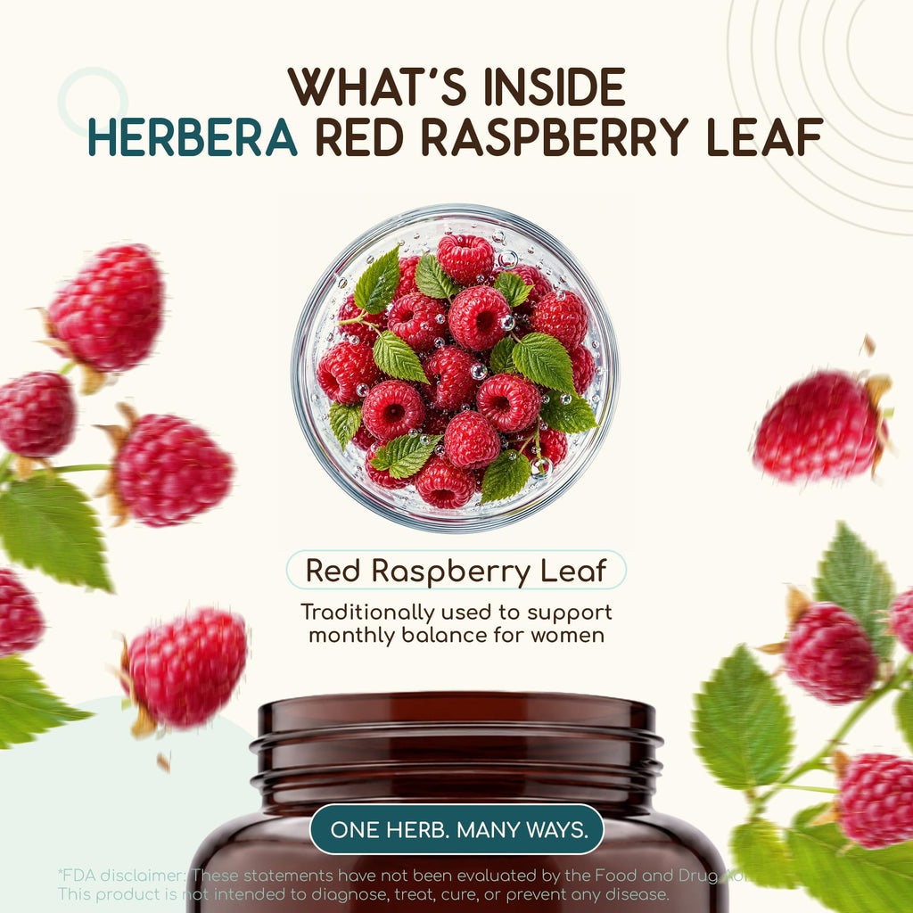 HerbEra USDA Organic Red Raspberry Leaf Capsules – Women's Wellness Support, Rubus Idaeus Dried Leaf, Daily Wellness Capsules, Vegan, Herbal Supplement (120 Capsules)