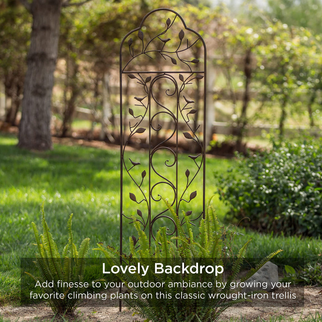 Best Choice Products Set of 2 60x15-inch Iron Arched Garden Trellis w/Branches, Birds for Lawn, Garden, Backyard, Climbing Plants