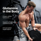 MuscleTech Glutamine Powder | 100% Pure L Glutamine Powder | Post Workout Recovery Drink | L-Glutamine Powder for Men & Women | Muscle Recovery | Unflavored (60 Servings)