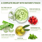Roycederm Tea Tree Therapeutic Body Wash & Soap – Antibacterial Body Wash Odor Control Cleanser for Oily, Dry & Itchy Skin – Made in USA, 11.8 fl oz