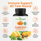 ForestLeaf Quercetin with Bromelain - 1350mg Blend with Vitamin C & Stinging Nettle, Advanced Quercetin 500mg Supplement, Non-GMO Gluten Free, Natural Immune & Respiratory Function 180 Veggie Capsules