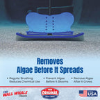 The Wall Whale 18" Swimming Pool Brush