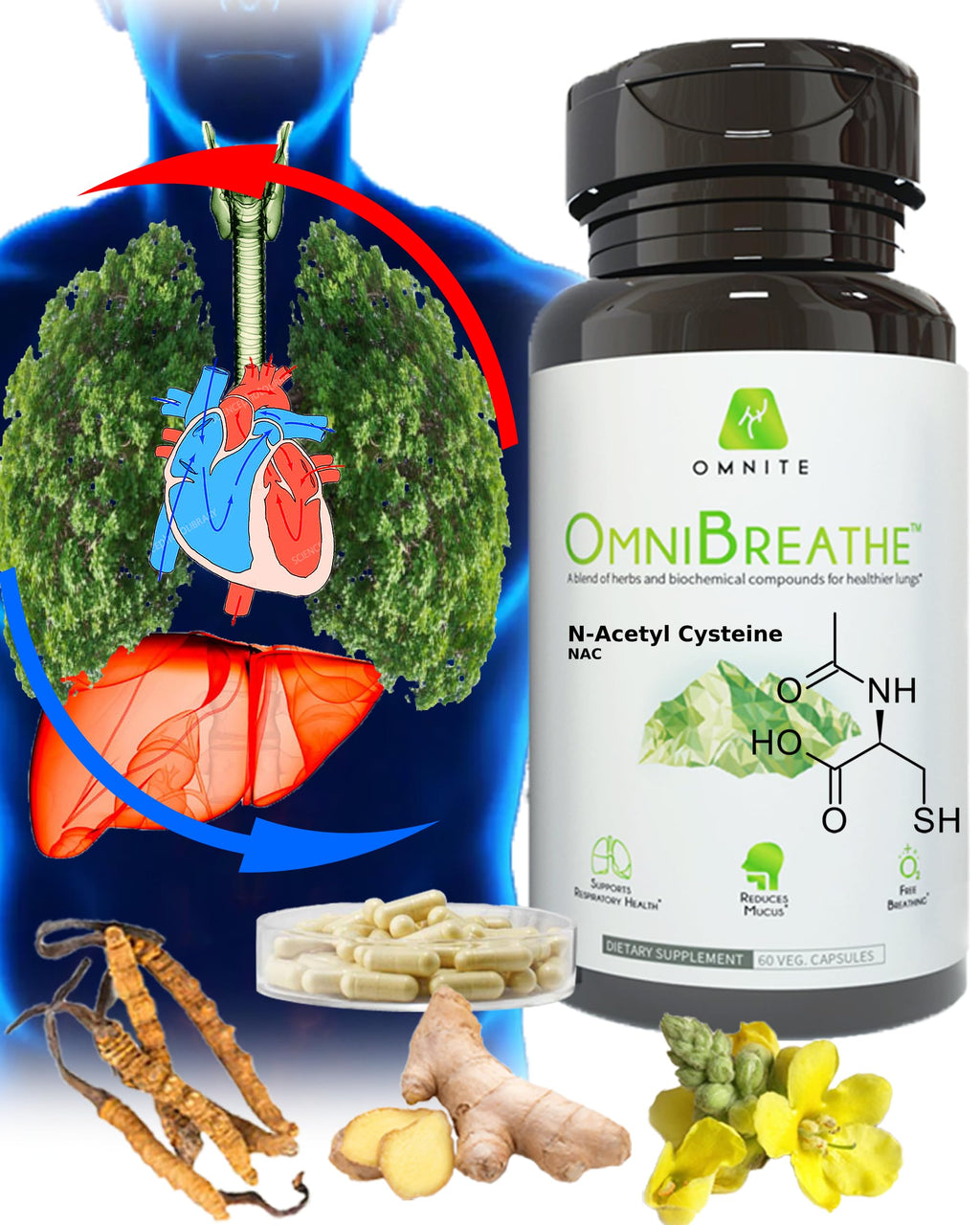 Omnite Respiratory Support Supplement with Mullein Leaf, NAC & Stinging Nettle | Airway & Breathing Wellness Formula | 60 Veg Capsules
