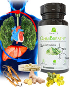 Omnite Respiratory Support Supplement with Mullein Leaf, NAC & Stinging Nettle | Airway & Breathing Wellness Formula | 60 Veg Capsules