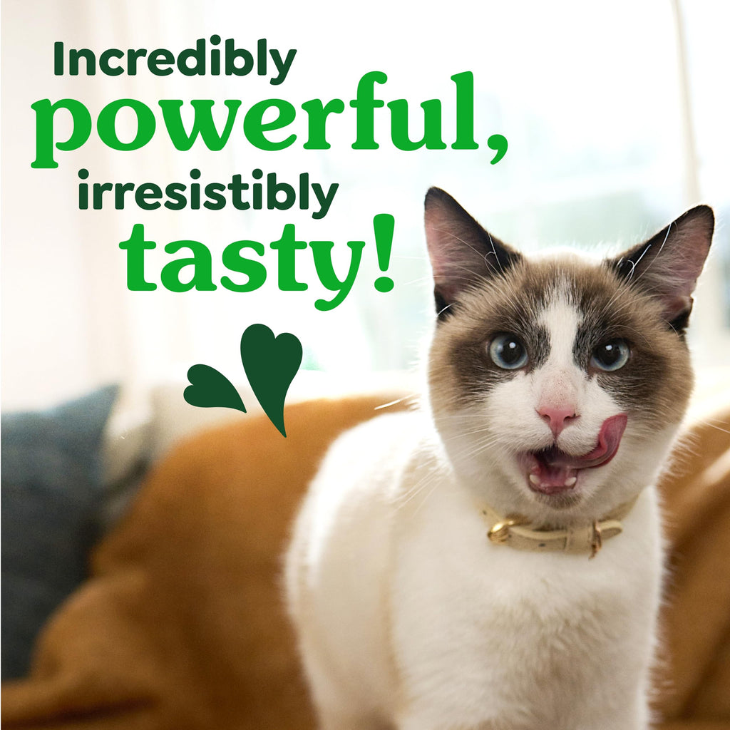 Greenies Feline Natural Dental Cat Treats, Catnip Flavor, 21 oz